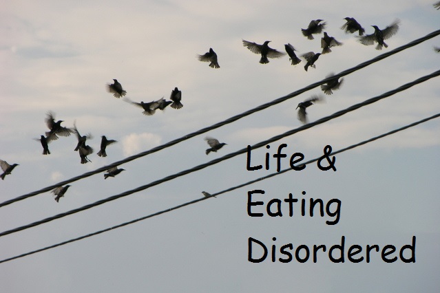 disordered-eating-definition